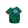 PLAYERA SOCCER T02