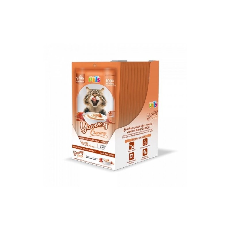 CAJA YUMMY CREAMY SALMON 12PZS.