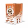 CAJA YUMMY CREAMY SALMON 12PZS.