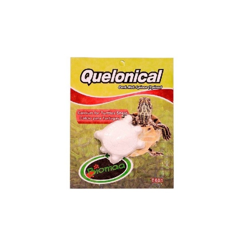 CALCIO P/TORT. QUELONICAL