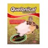 CALCIO P/TORT. QUELONICAL