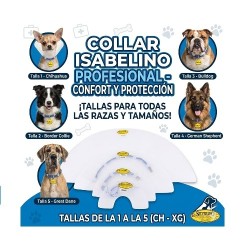 COLLAR ISABELINO No.4
