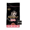 GANADOR PREMIUM CACHORRO RAZAS PEQ 20KGS