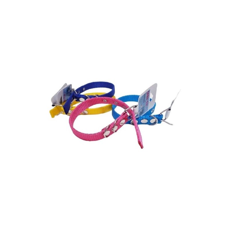 COLLAR NYLON 2.5 CM MEDIANO