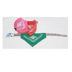 COLLAR NYLON GRANDE 2.5CMS. C/PALIACATE