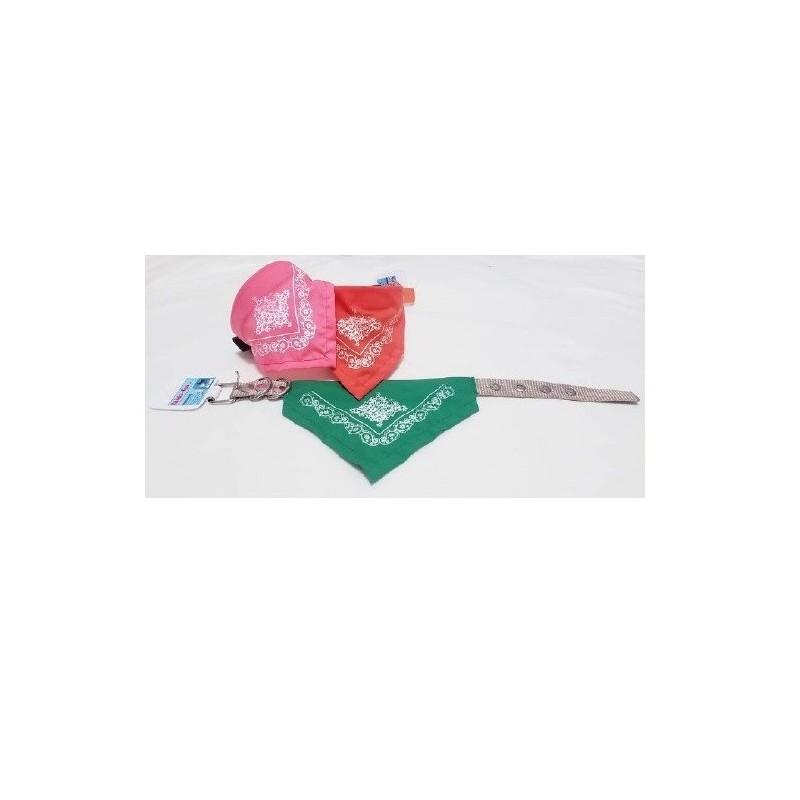 COLLAR NYLON GRANDE 2.5CMS. C/PALIACATE