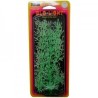 PLANTA NITELLA 18 CMS. GLOW CH.