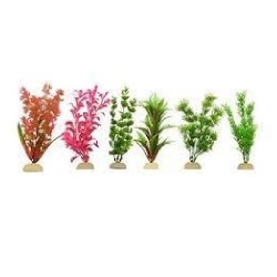 PLANTA SUNNY IMP BOLSA VERDE 8  6 PZAS