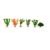 PLANTA SUNNY MINI SURTIDA 2  10 PZAS.