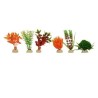 PLANTA SUNNY MINI SURTIDA 2 10PZAS