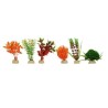 PLANTA SUNNY MINI SURTIDA 2 10PZAS.