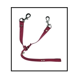 CORREA NYLON 2 CM CHICA PARA 2 PERROS