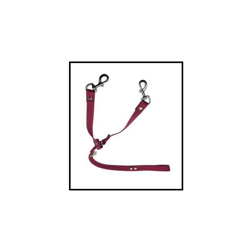 CORREA NYLON 2 CM CHICA PARA 2 PERROS