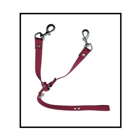 CORREA NYLON 2 CM CHICA PARA 2 PERROS
