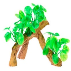 RAIZ C/PLANTAS #6 17X9X15CM