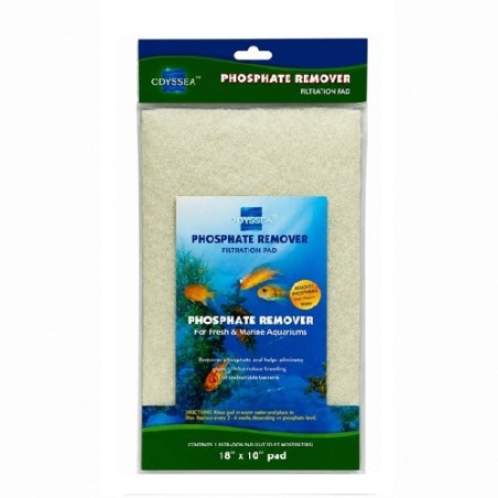 ESPONJA ELIM.FOSFATO 76X45 C