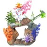 CUEVA CON PLANTAS