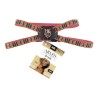 ARNES GDE ROJO BERRYDOG P/MASCOTA